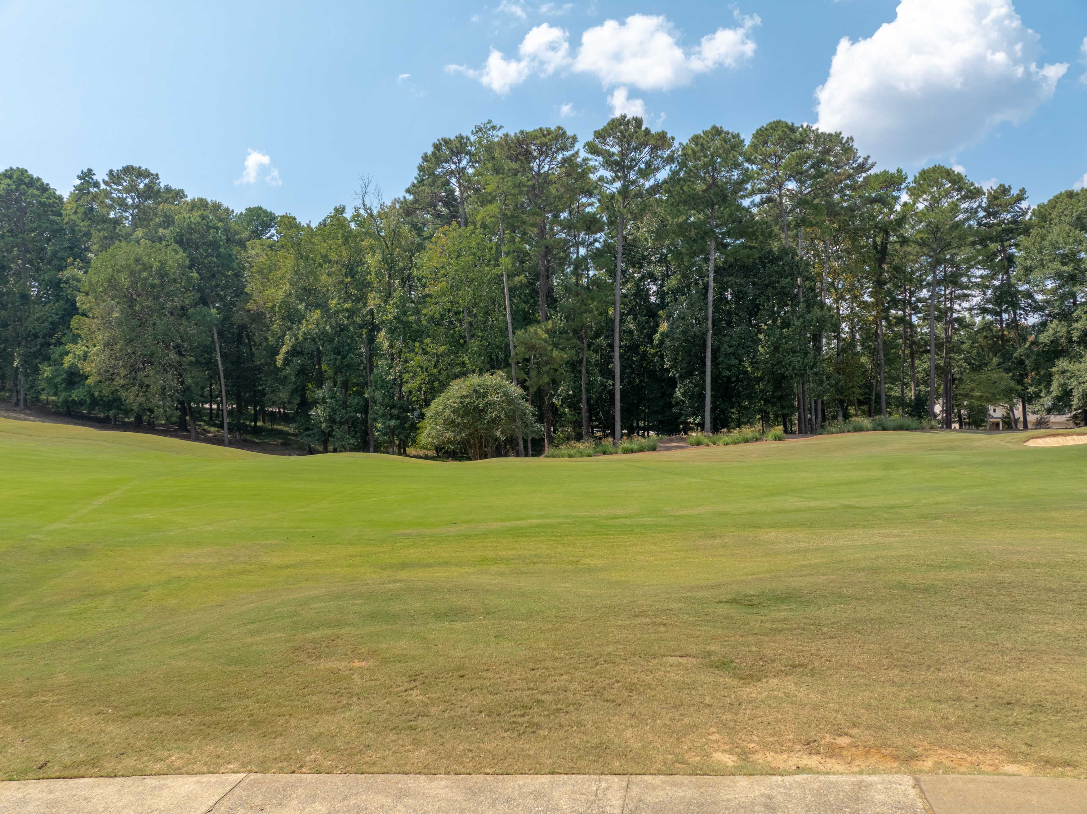 1011 Kimbrough Hill Drive image 7